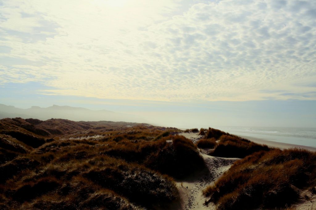 Nehalem Bay Real Estate or Outdoorsman's Paradise? Living Room