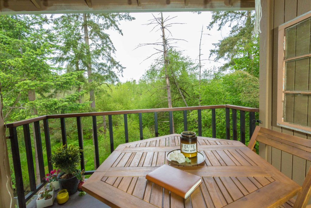 Hidden Retreat in Cedar Mills Living Room Realty