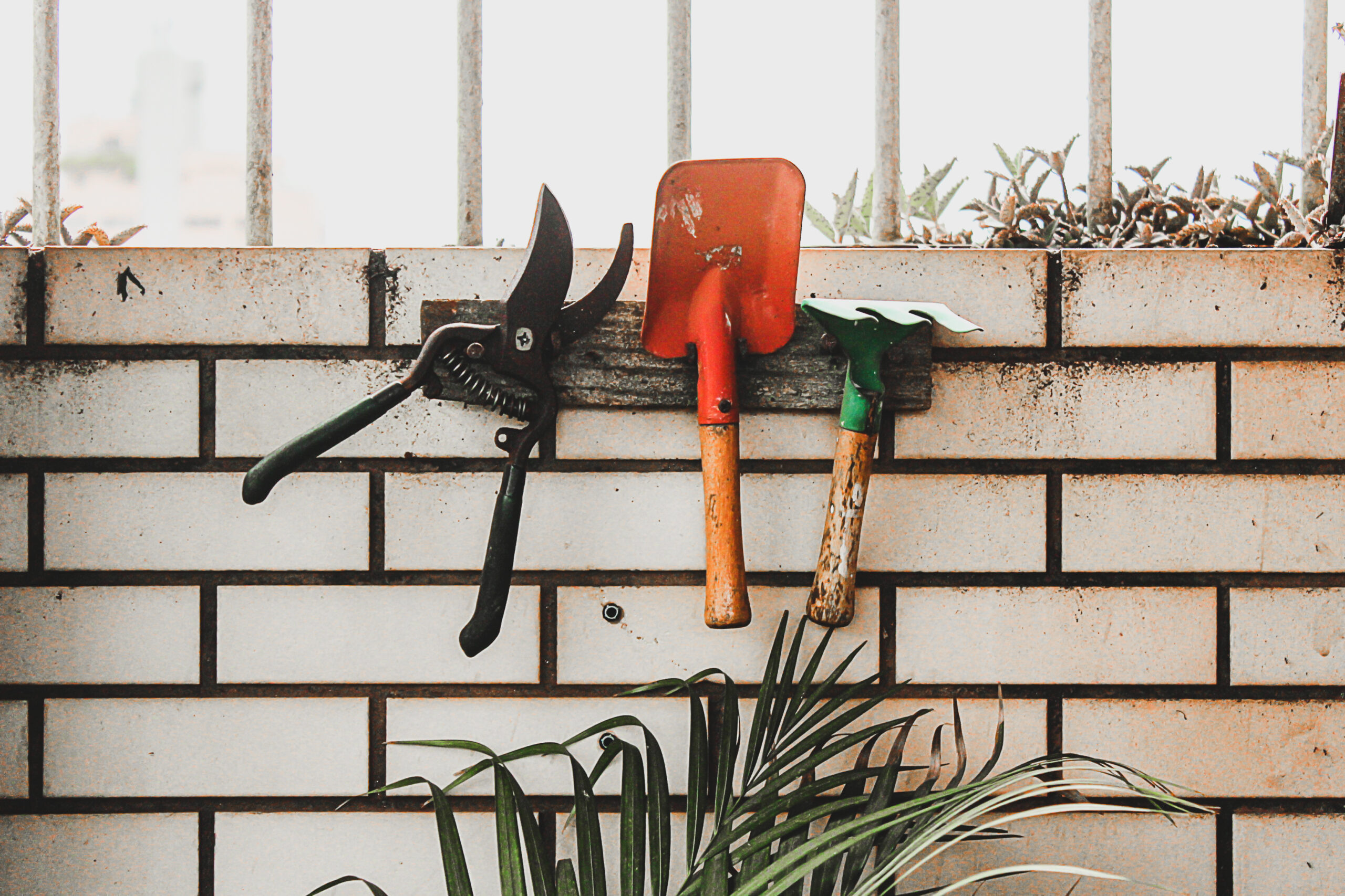Shop Talk Vol. 4: Summer Home Maintenance Projects You Should Prioritize