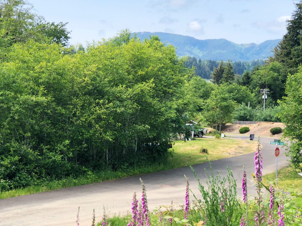 Bay View Wheeler Vacant Lot Living Room Realty Manzanita Real Estate