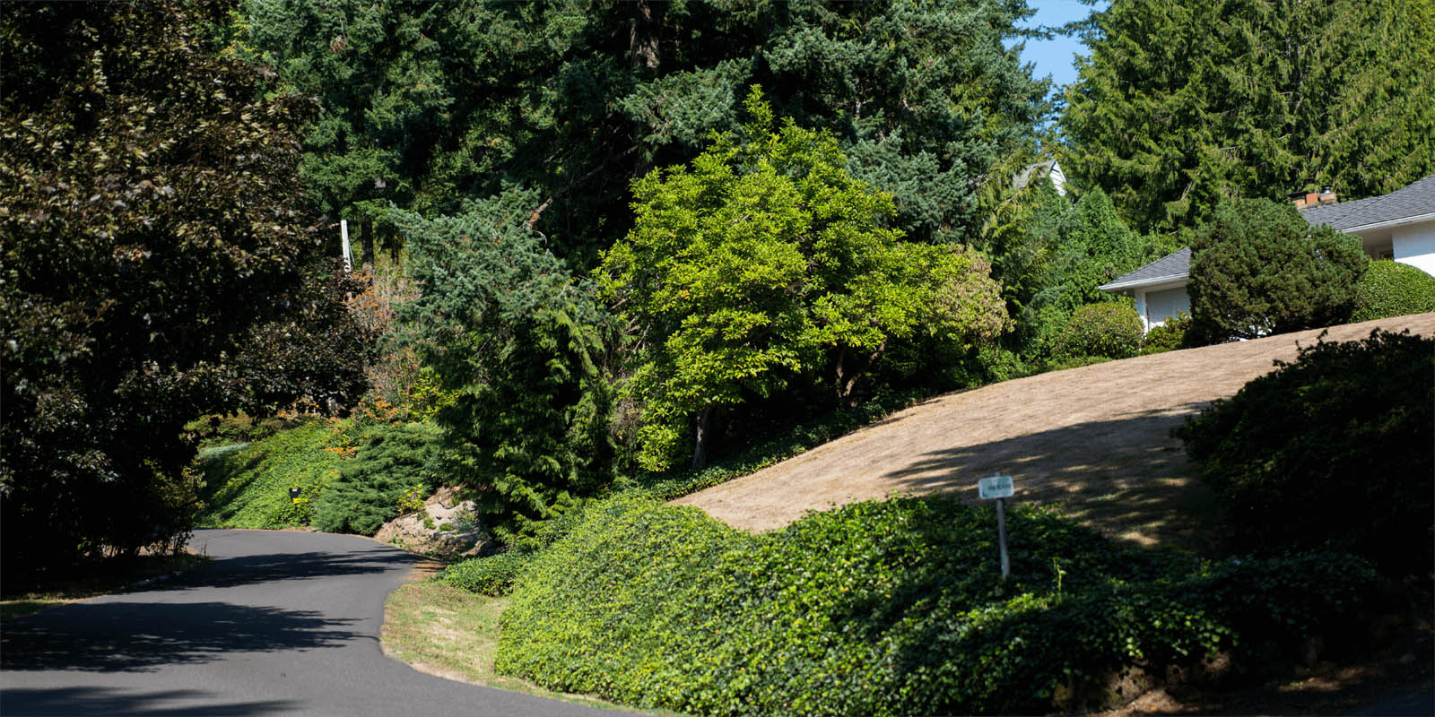 Hillsdale Real Estate Living Room Realty