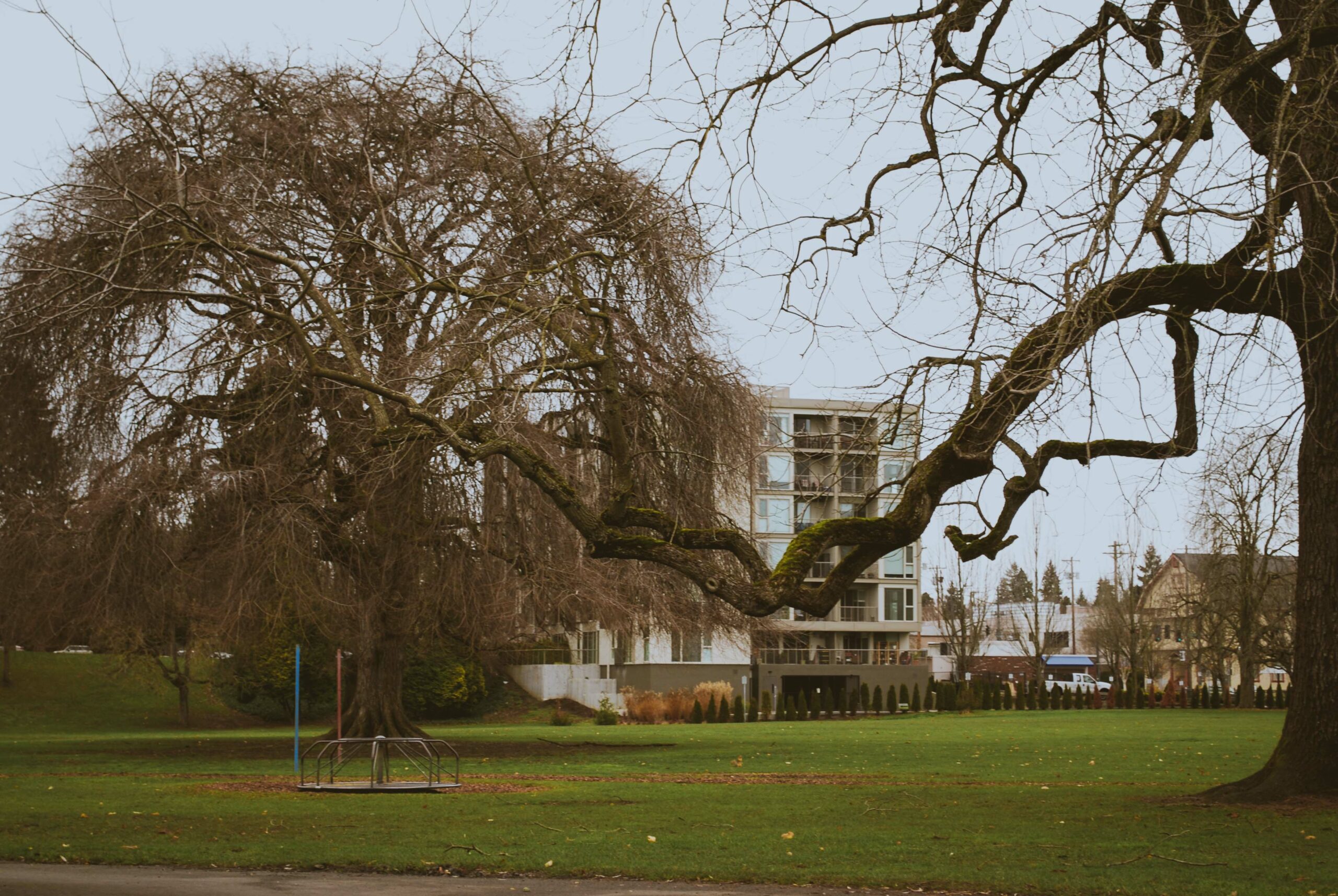 A Perfect Day in Portland’s Overlook Neighborhood