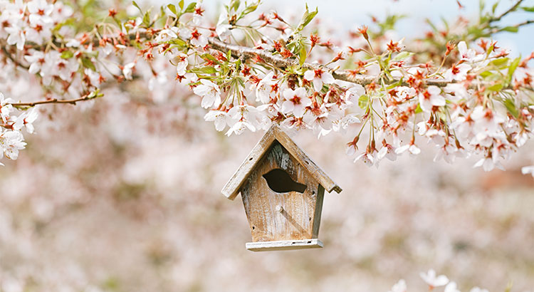BEST MONTH TO LIST YOUR HOME?