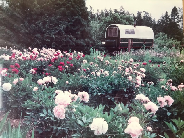 Gypsy Caravan Finds A Home!