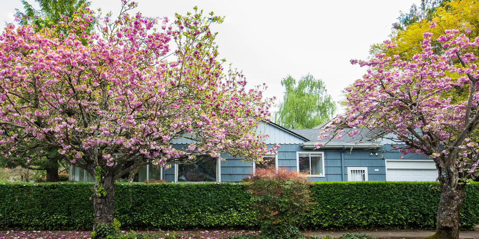 Mt Tabor Cottage on Sunny Corner Lot