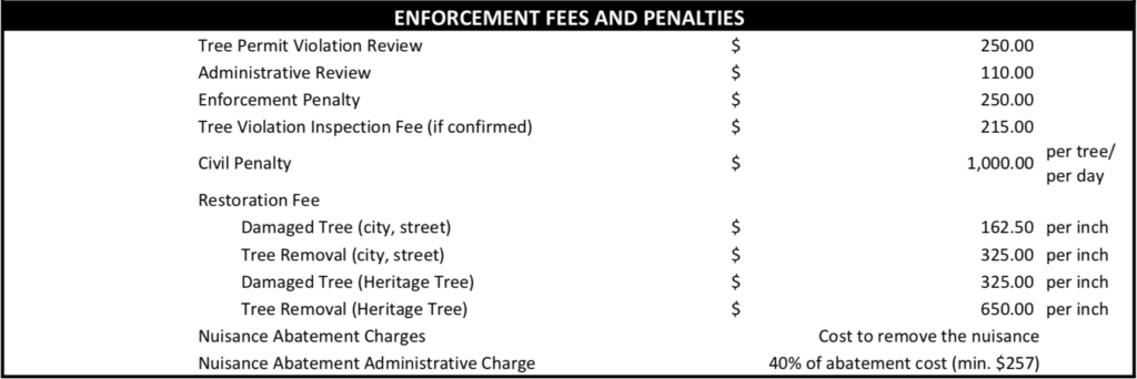 Shop Talk Vol. : The Street Tree Laws Portland Homeowners Should Know