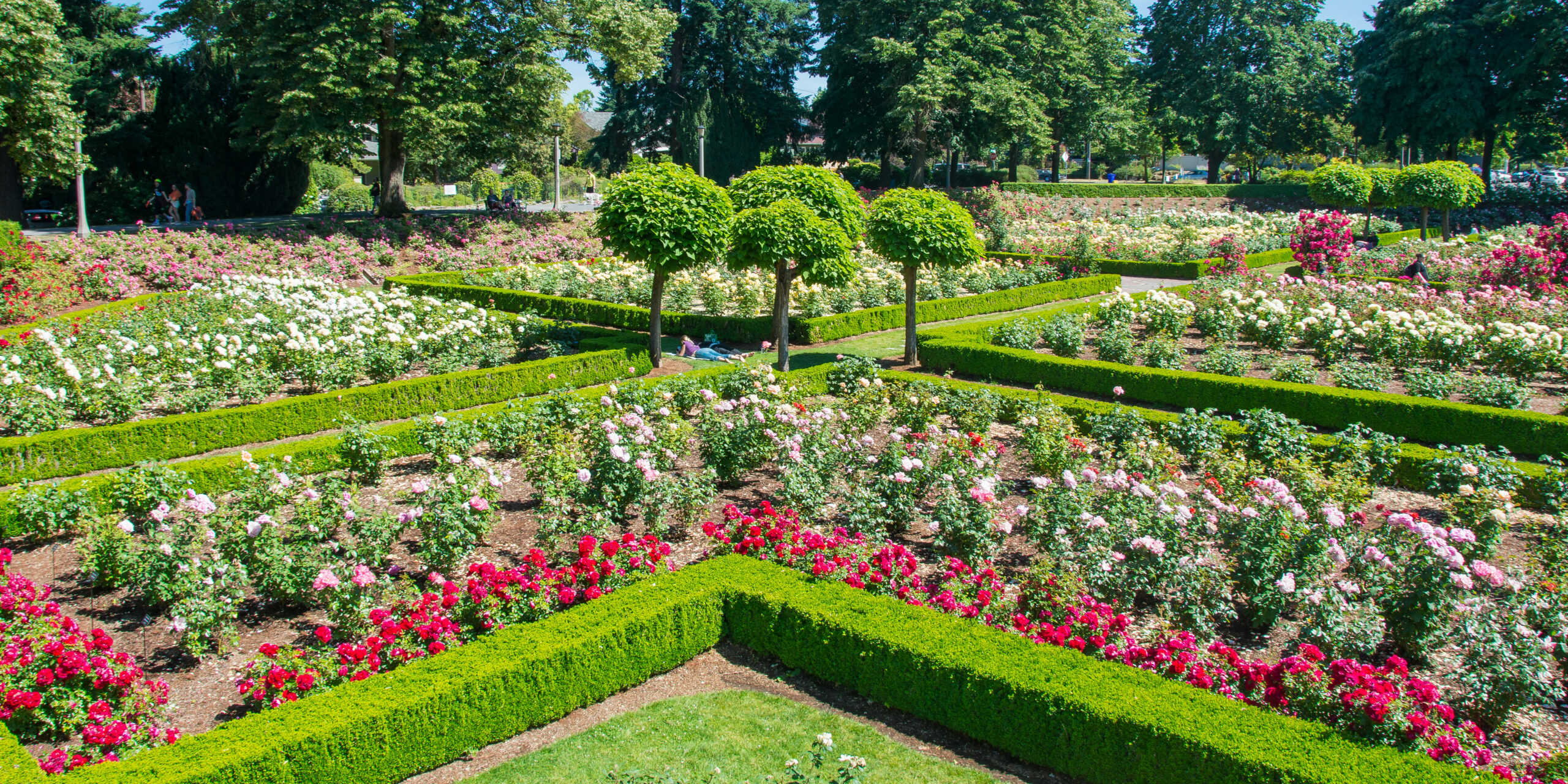 Peninsula Park Rose Garden Review