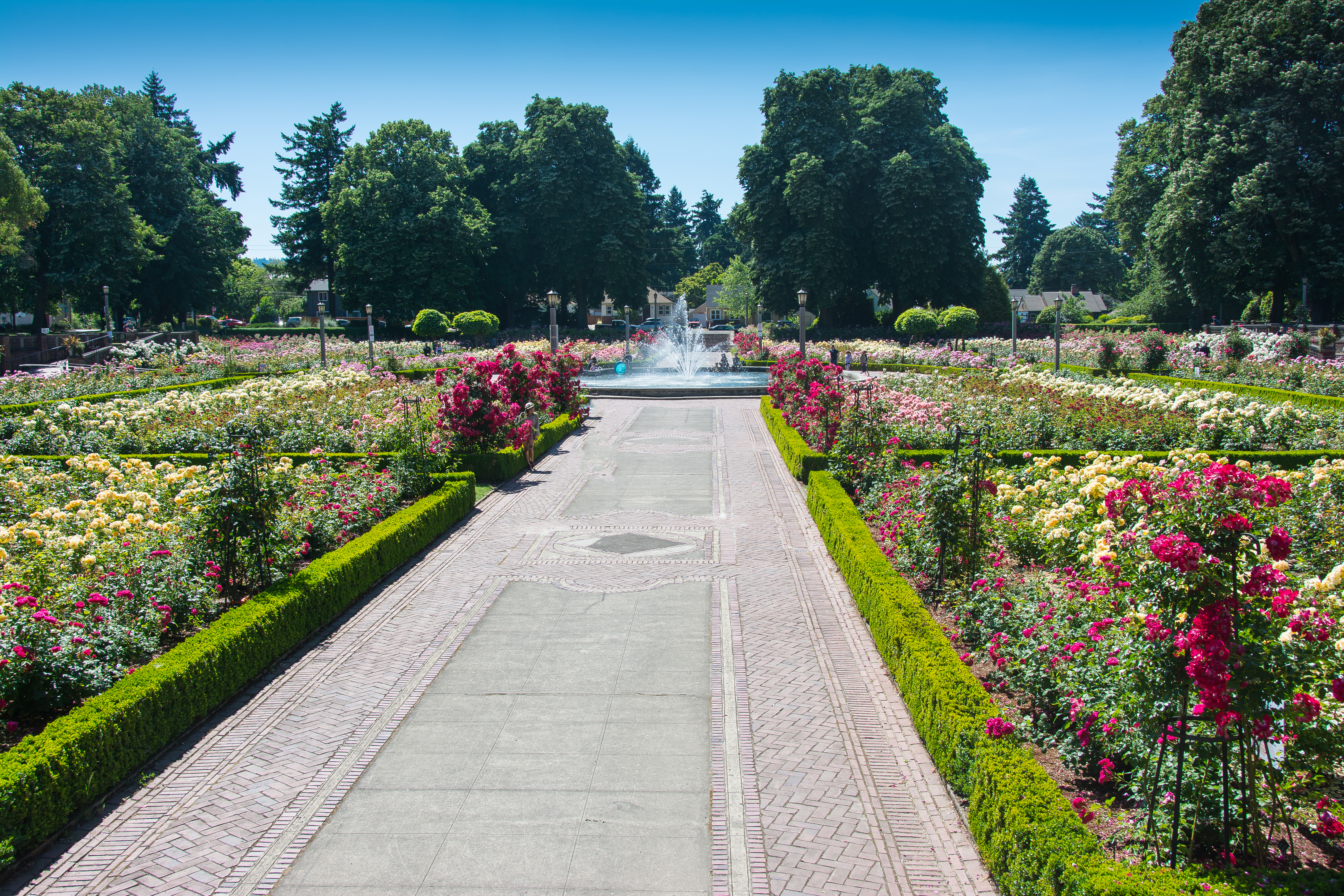 Portland Parks Can Help You Live Happier and Healthier