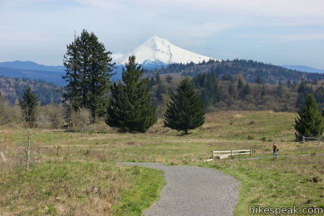 Neighborhood Spotlight: Powell Butte Nature Park