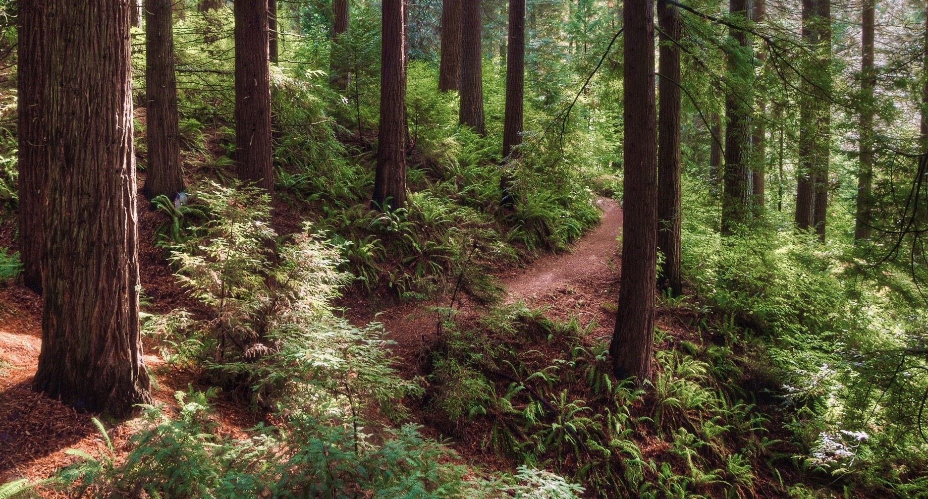 Exploring NW Portland – Hoyt Arboretum