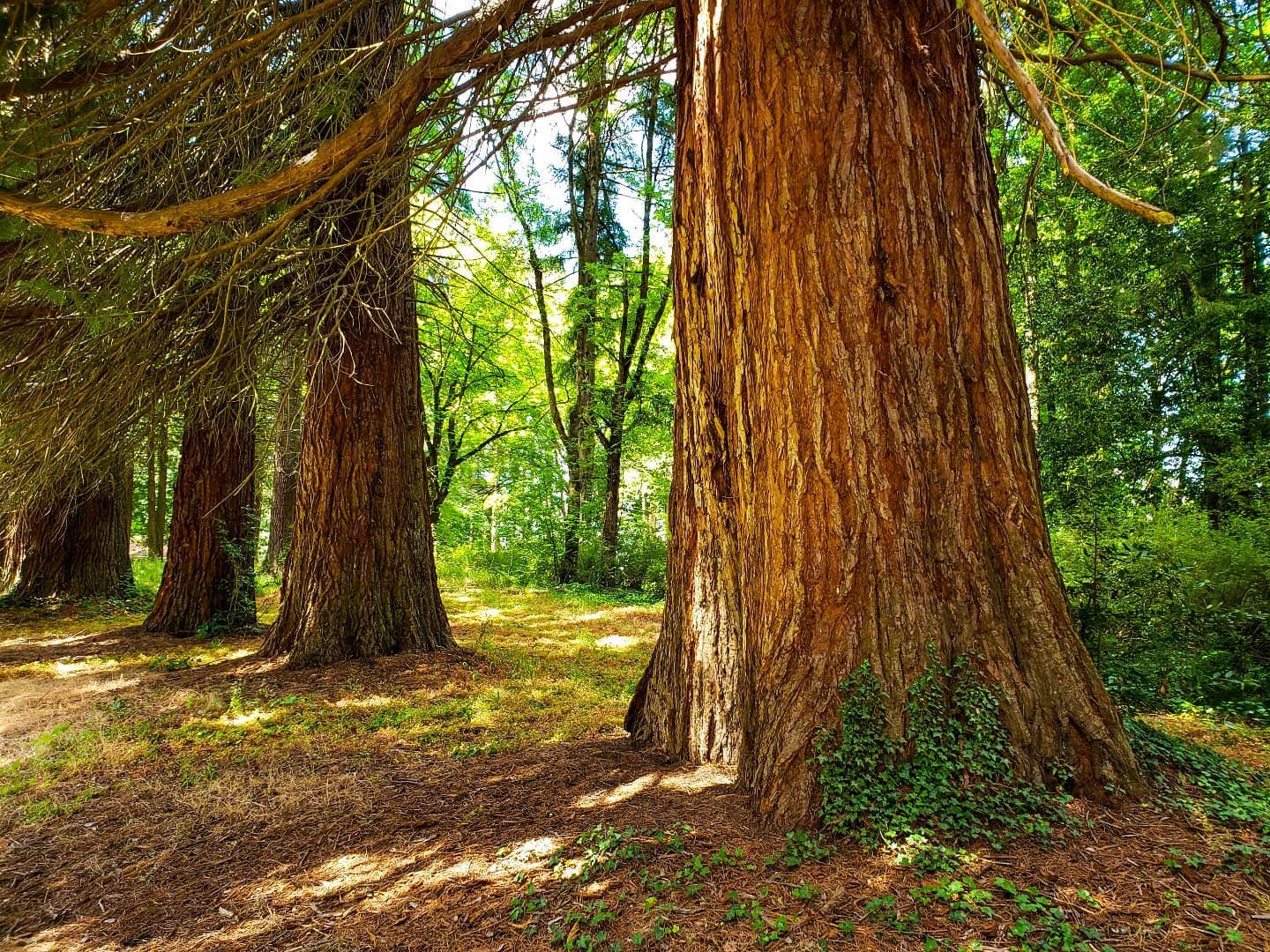 Newberg Spotlight: Champoeg State Heritage Park