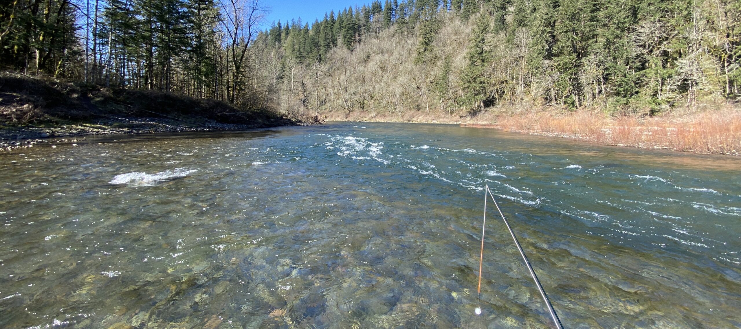 Why We Love Portland: The Sandy River