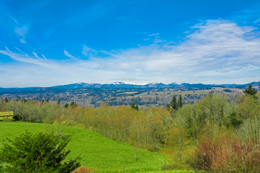 View from back of house