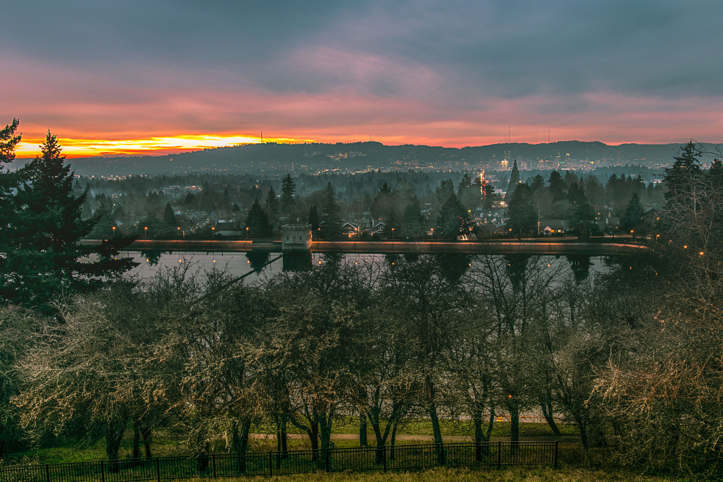 Being a Citizen of Portland