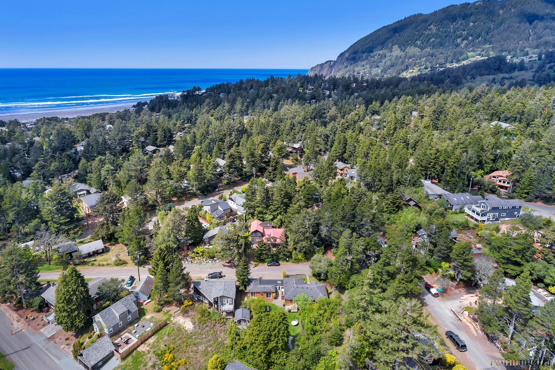 Manzanita Market Overview Living Room Realty