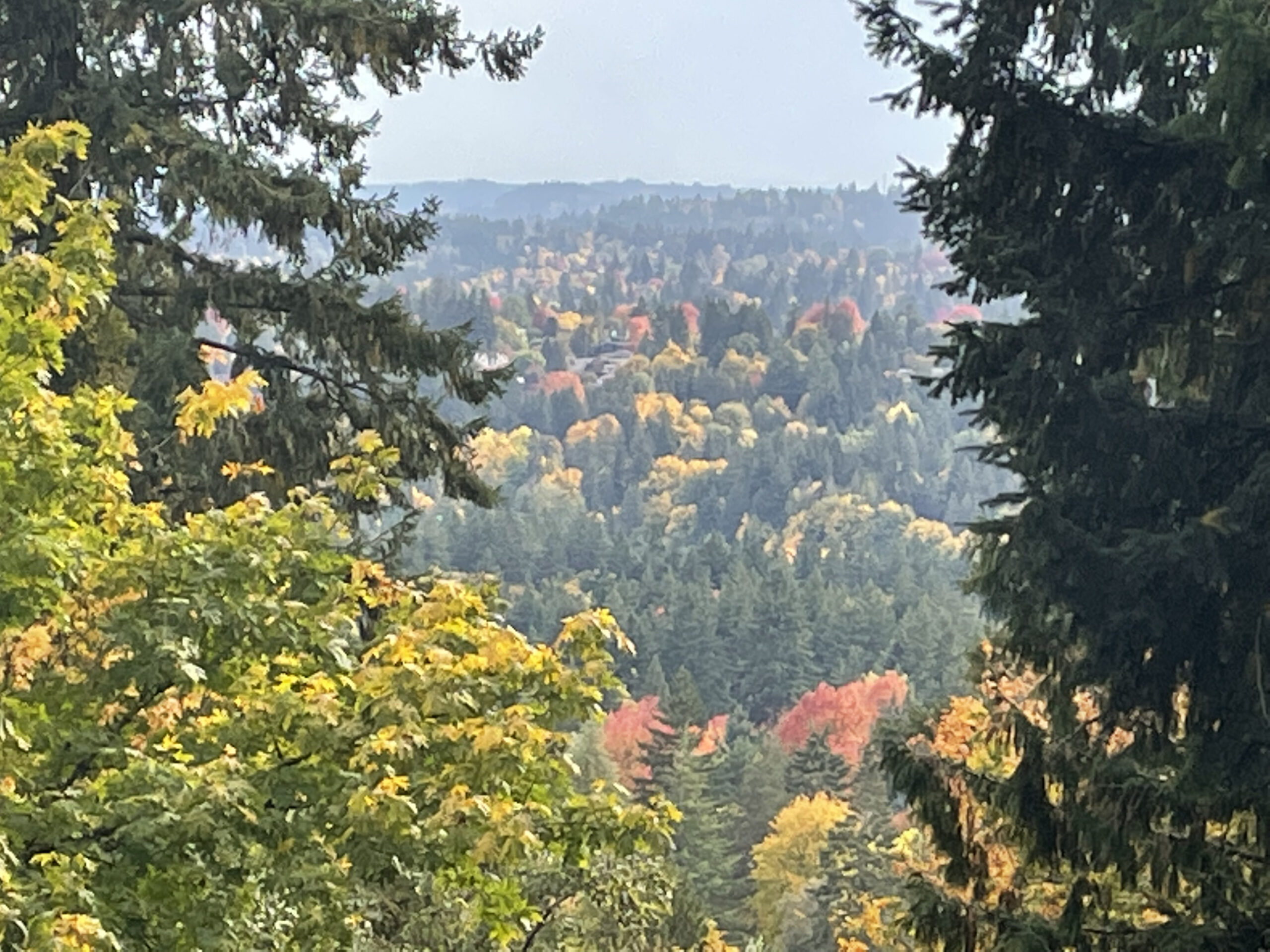 West Hills Beauty with Views!