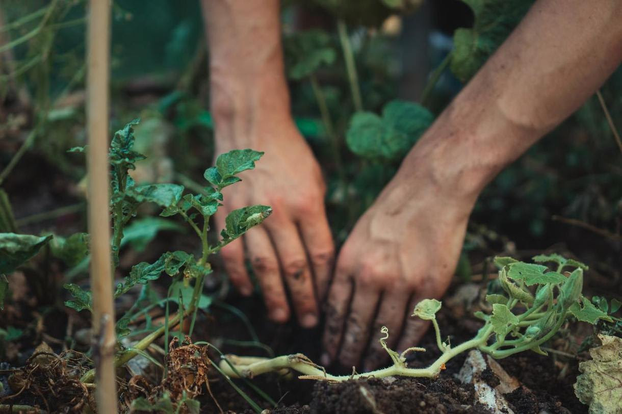 PDX FOOD PLANTING GUIDE