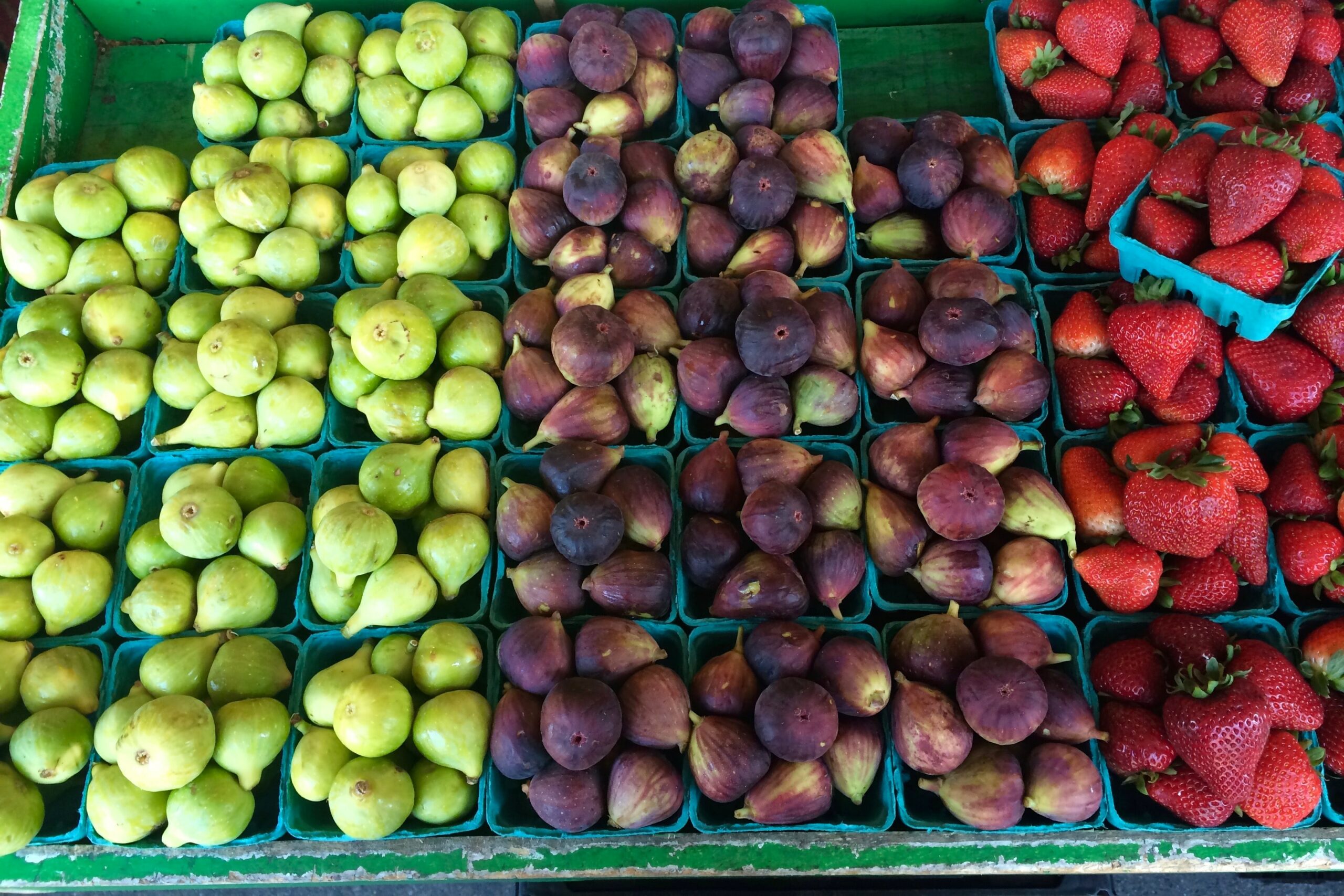 Portland Farmer’s Markets in Full Summer Swing