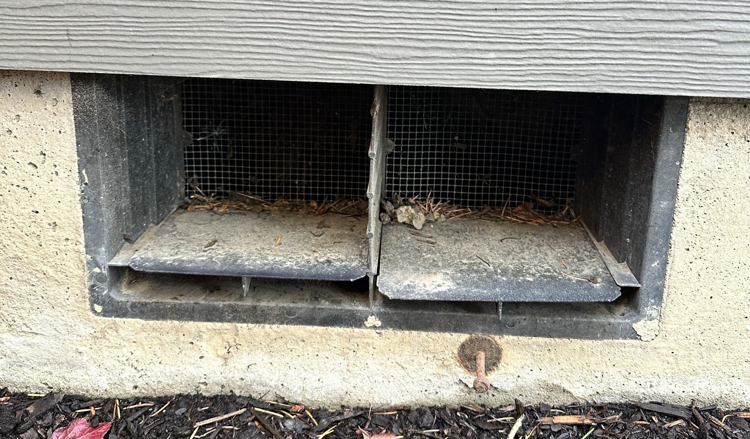 A Case for Keeping Your Crawl Space Vents Open