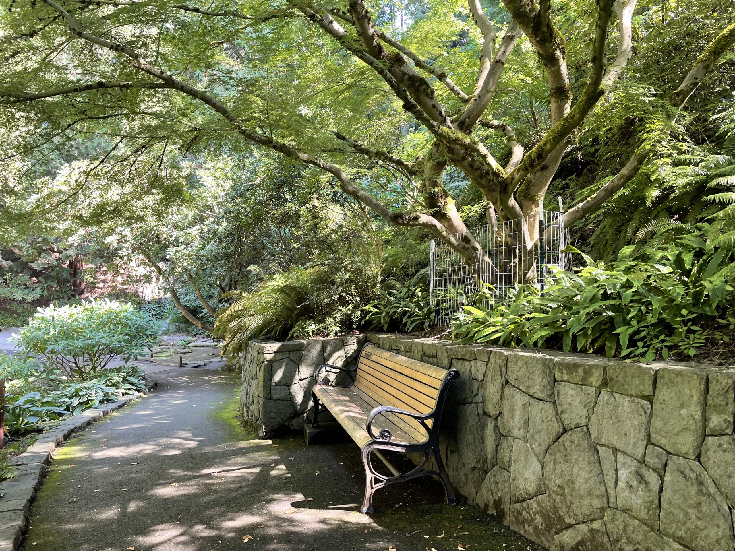 Sanctuary: Rhododendron Garden