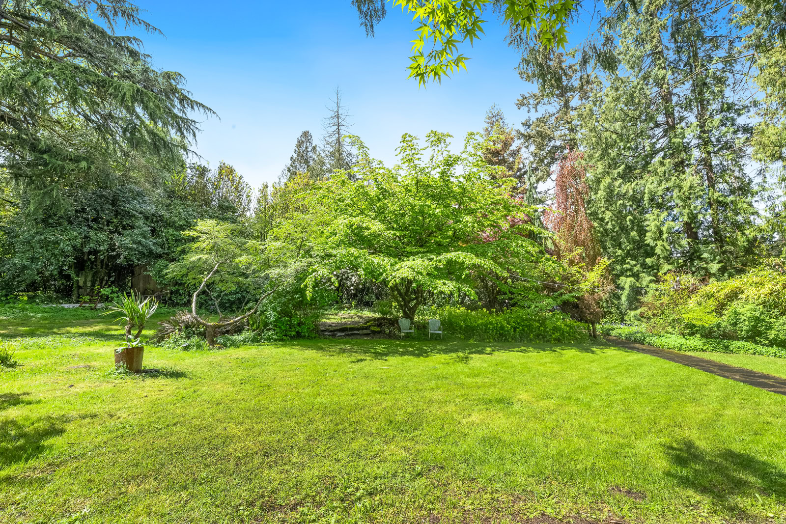 3+ Acre Fairytale Property in the City
