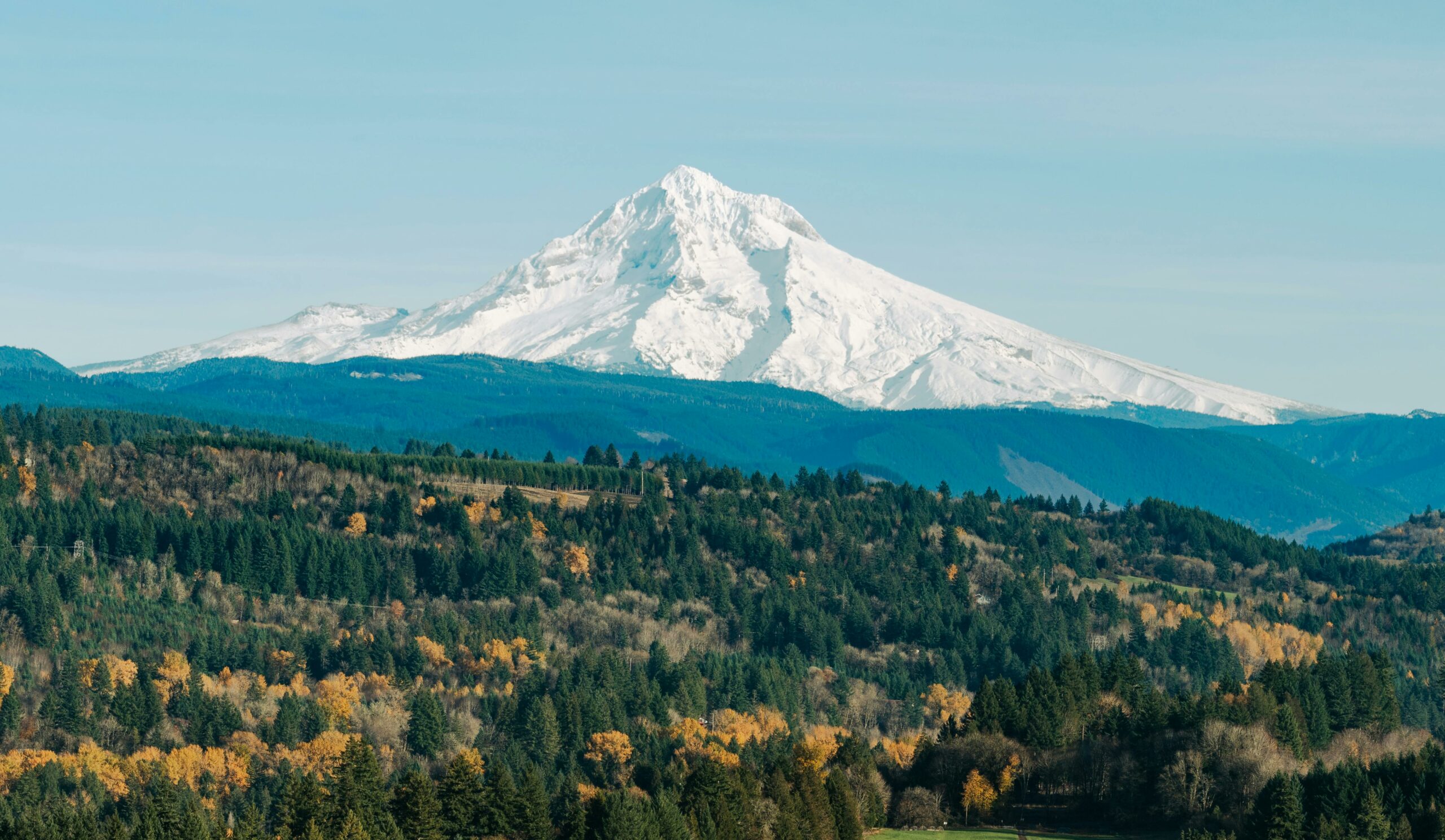 Portland Market Update Late-May 2025