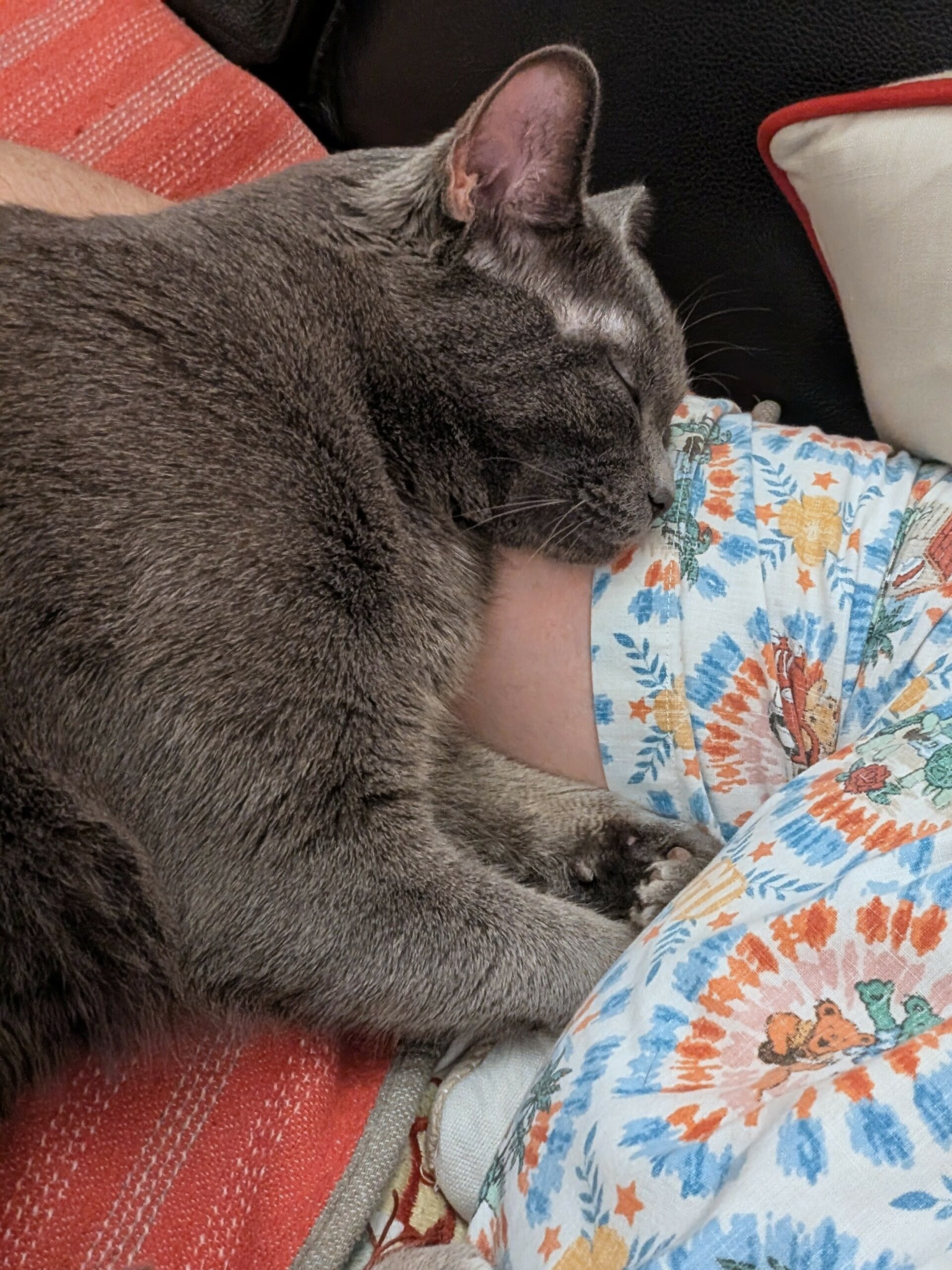 Home is where the heart is