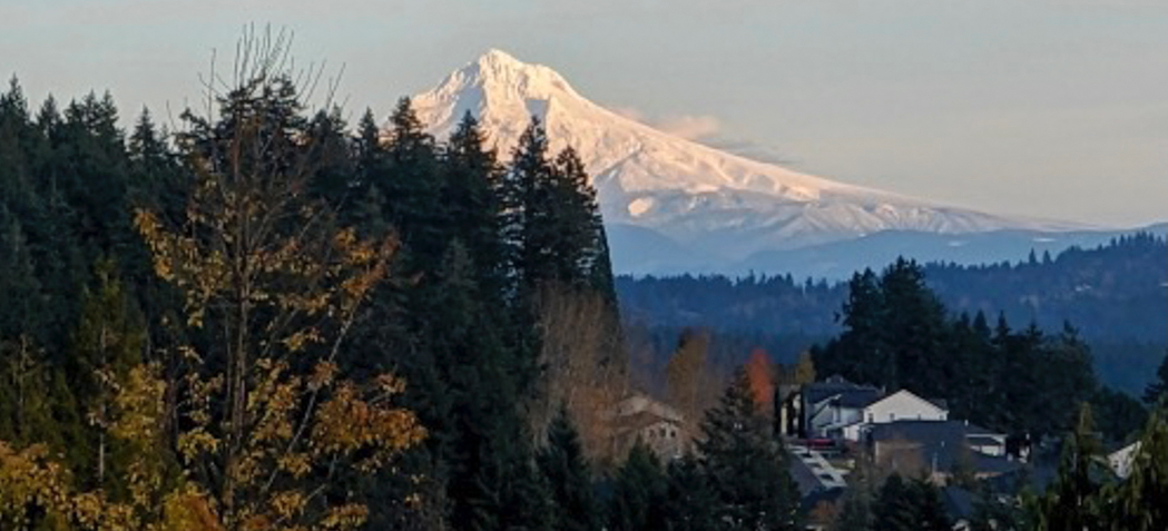 Tigard Traditional with Territorial Views