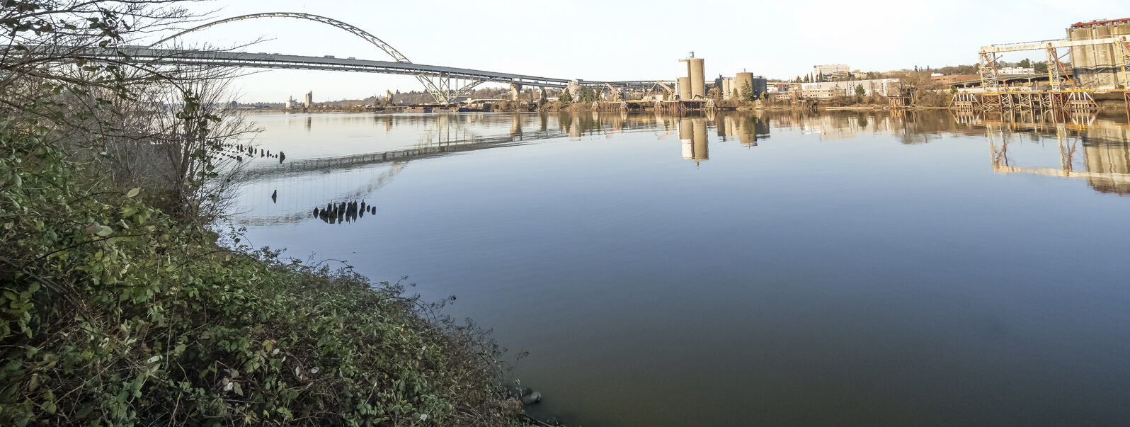 River View Living in the Pearl