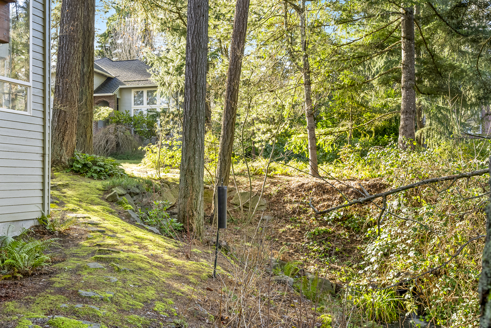Arnold Creek Traditional with Nature Views