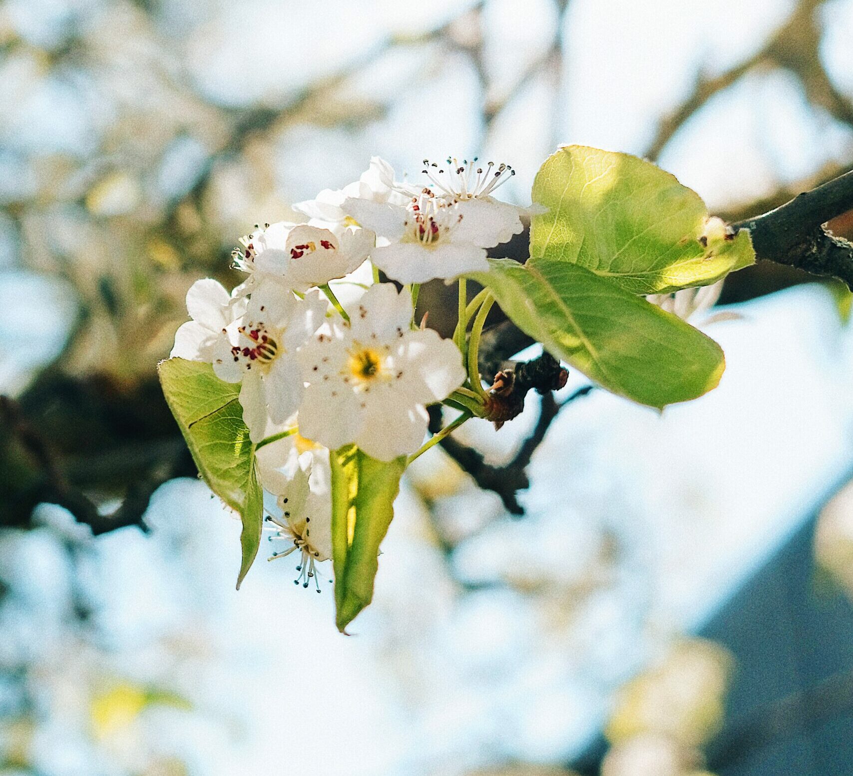 Portland Real Estate Market Update for March 2026