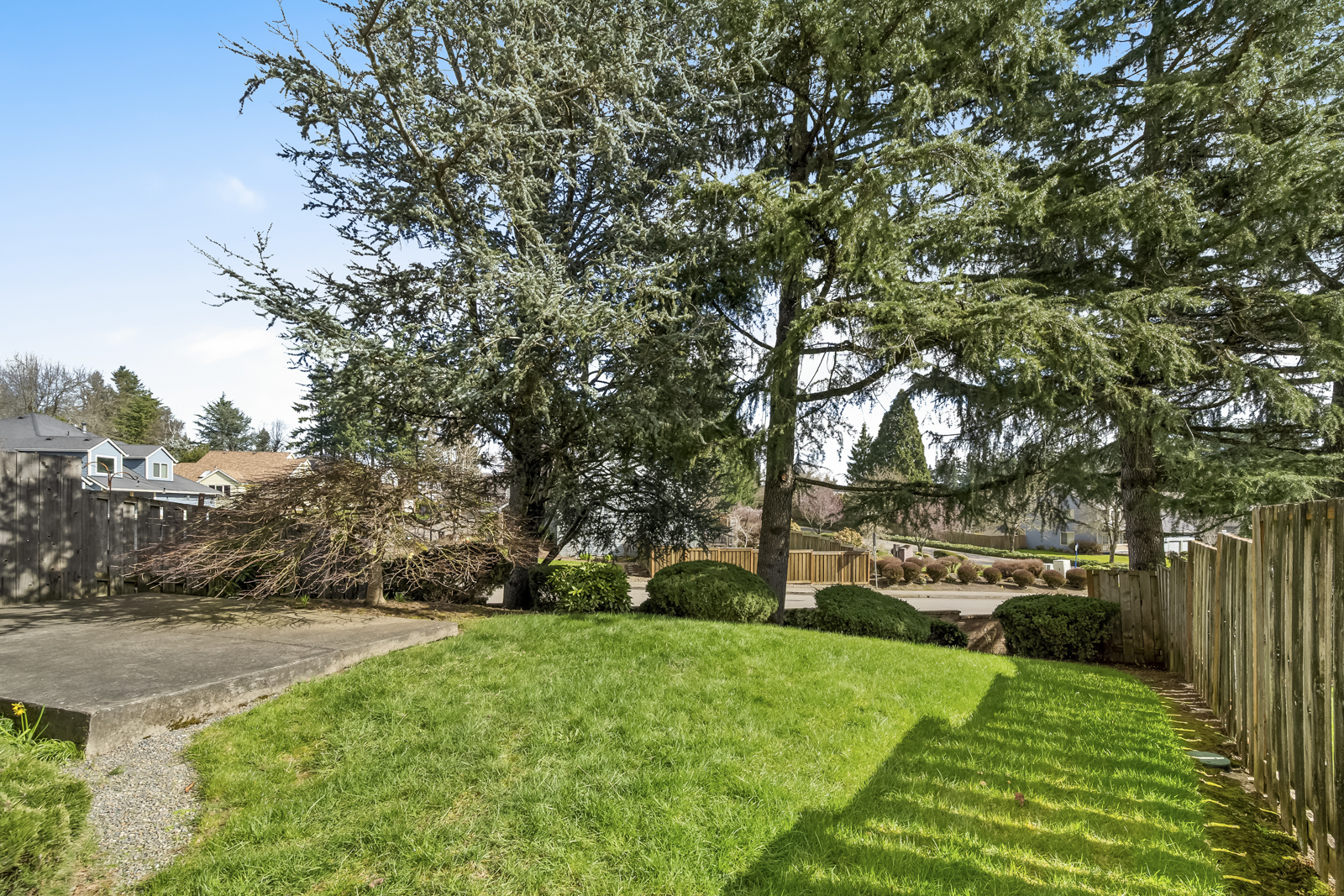 Light Filled and Upgraded