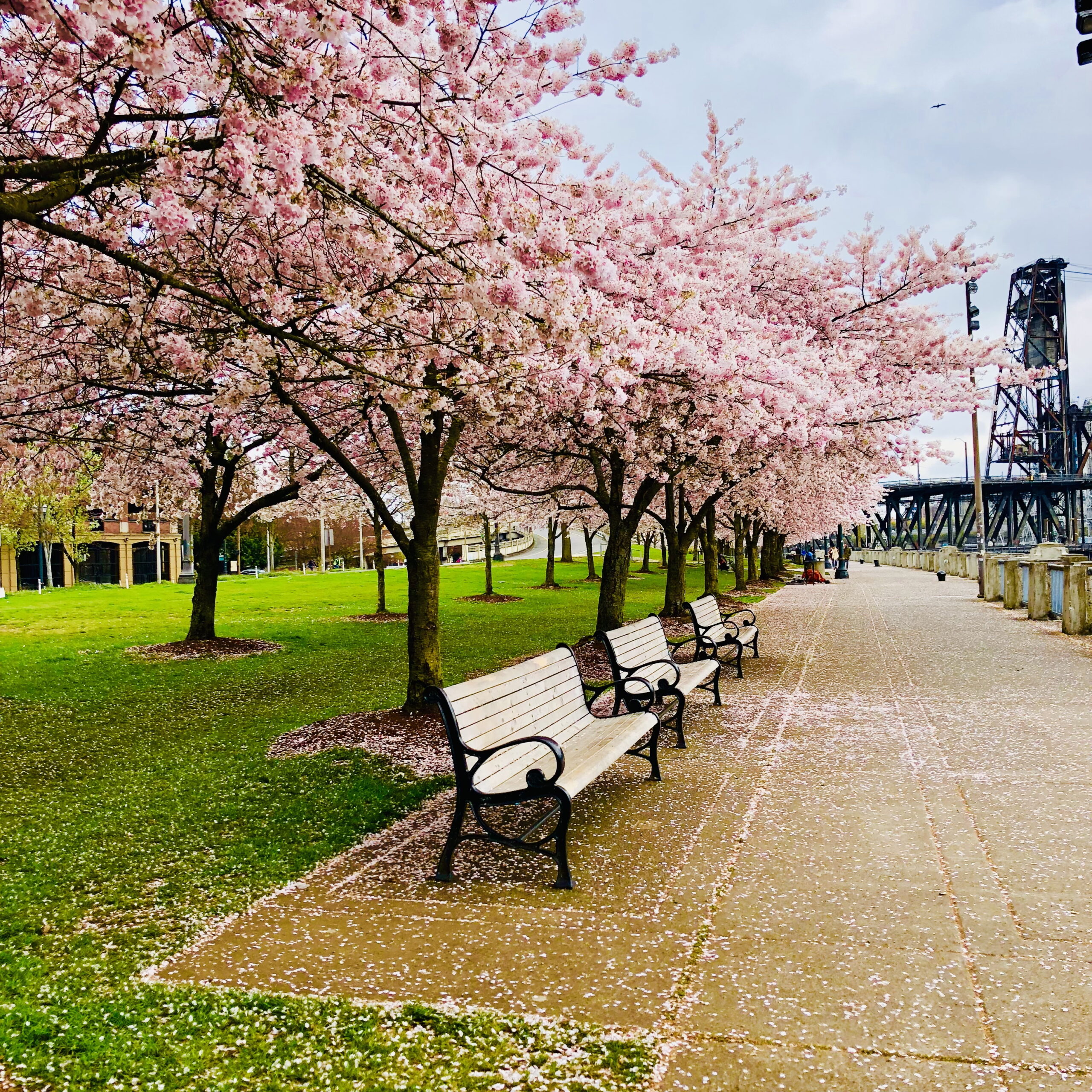 Market Status: It’s Complicated