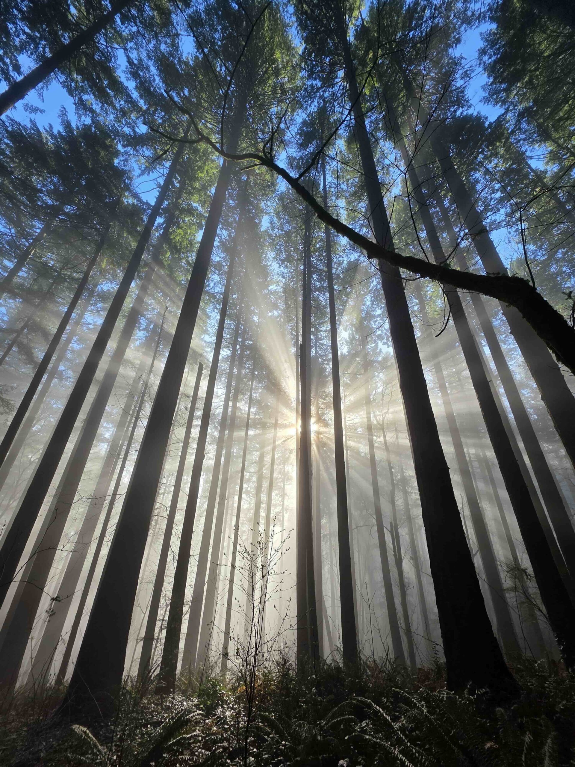 Get Into Portland’s Best Park!